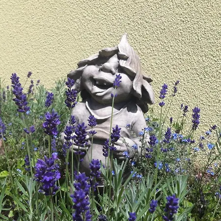 Familien „im Landhaus“ * Gaal