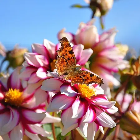 Appartement Familien „im Landhaus“ *