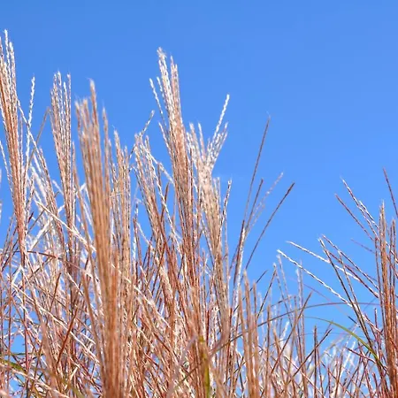 Familien „im Landhaus“