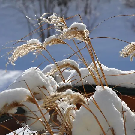 Appartement Familien „im Landhaus“