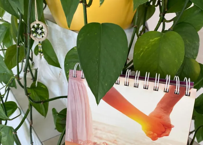 Little Paradises - Familien Im Gaal