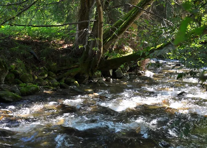 Little Paradises - Familien Im Apartment *