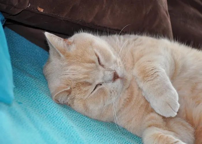 Little Paradises - Familien Im Apartment