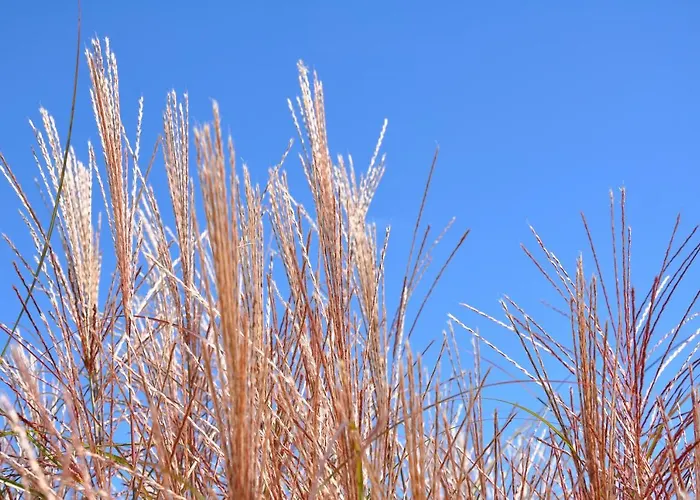 Little Paradises - Familien Im