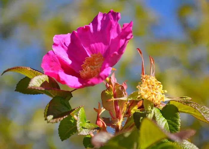 Little Paradises - Familien Im Apartment