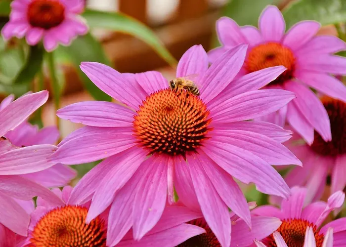 Little Paradises - Familien Im *