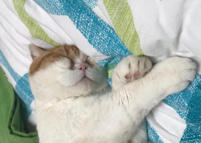 Apartment Little Paradises - Familien Im Gaal