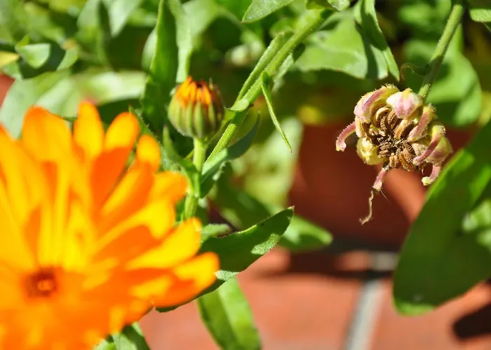 Little Paradises - Familien Im Apartment