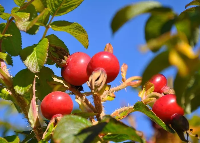 Apartment Little Paradises - Familien Im *