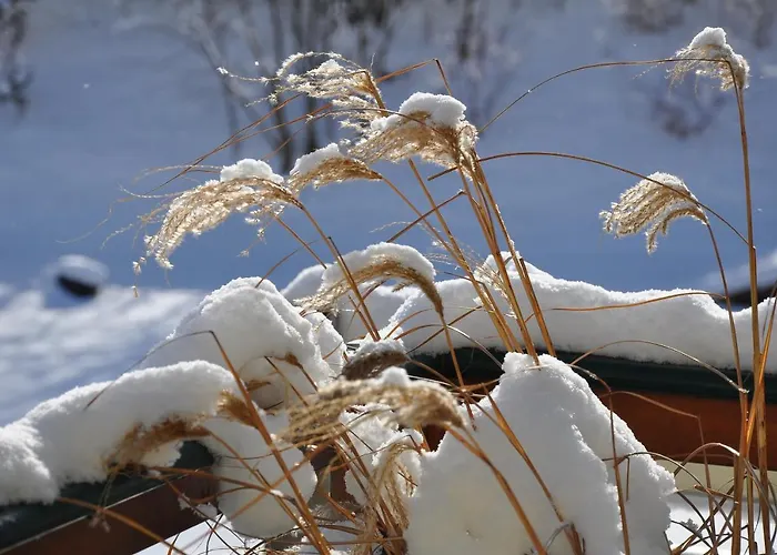 Apartment Little Paradises - Familien Im